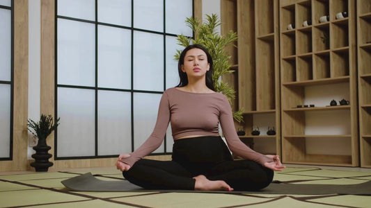 Ashwagandha Plus Vitamin B12